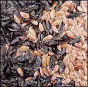 Linen Seeds